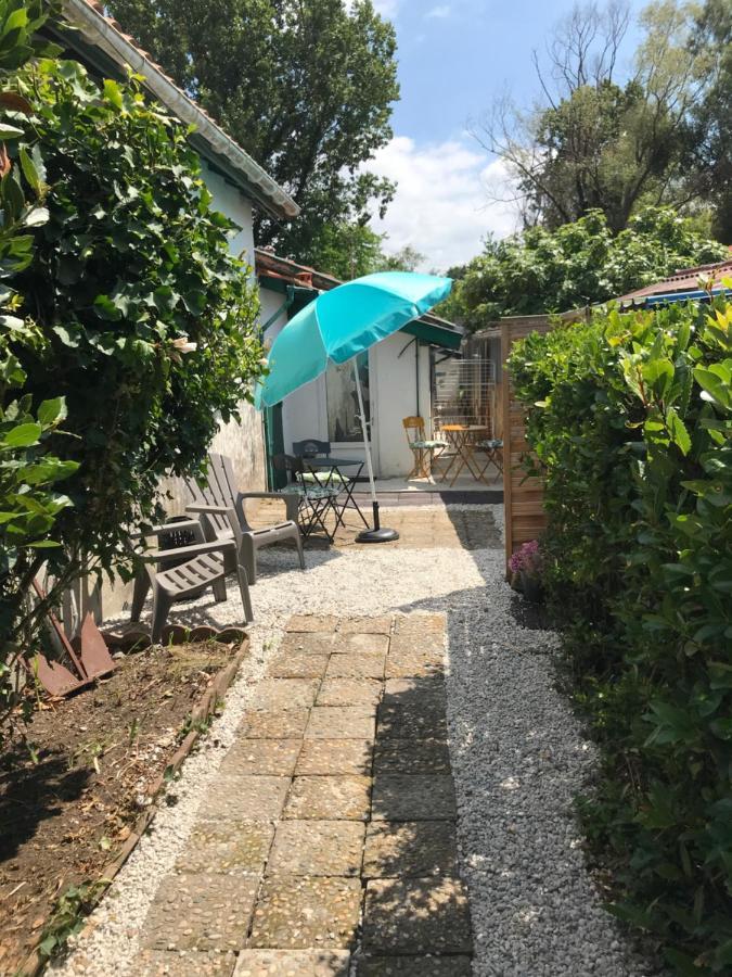 Appartement Entre Ocean Et Montagne 15Bis Avenue De Montbrun Anglet Dış mekan fotoğraf